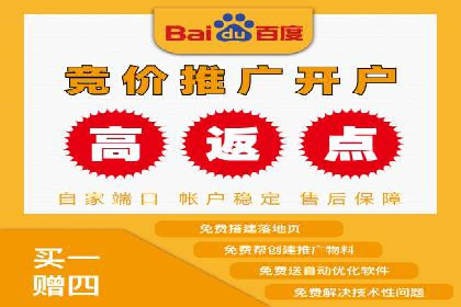 SEM网络推广案例：打造行业影响力品牌